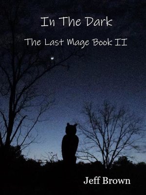 cover image of In the Dark